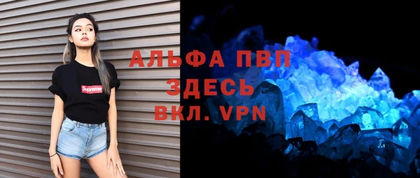 индика Богородск
