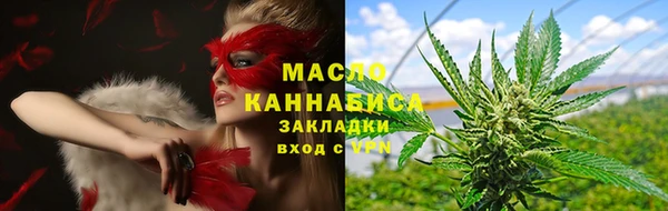 индика Богородск