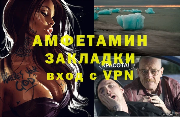 индика Богородск