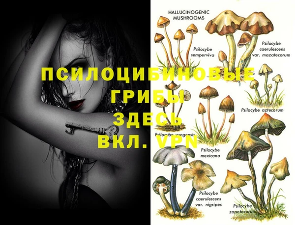 таблы Богородицк