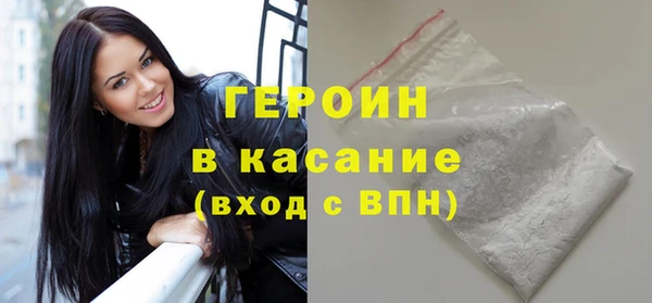 индика Богородск