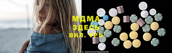 индика Богородск