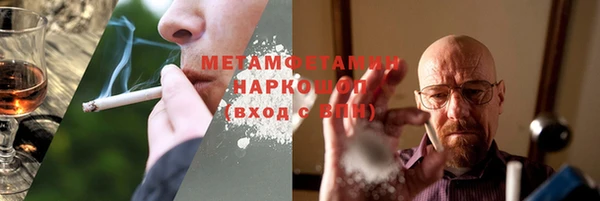 индика Богородск