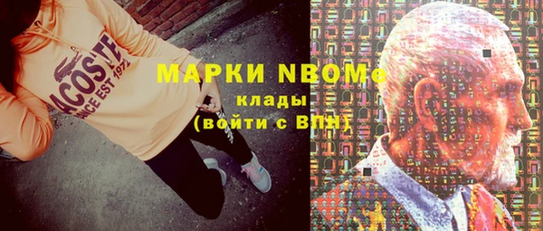 индика Богородск