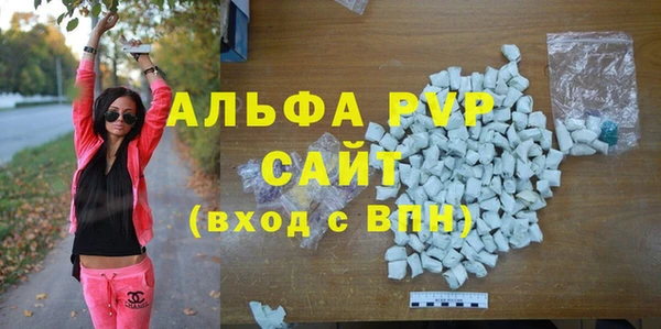 индика Богородск