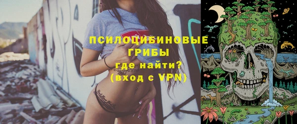 таблы Богородицк