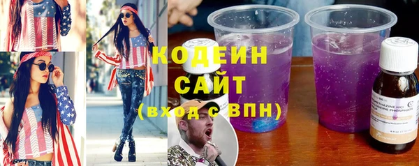 индика Богородск