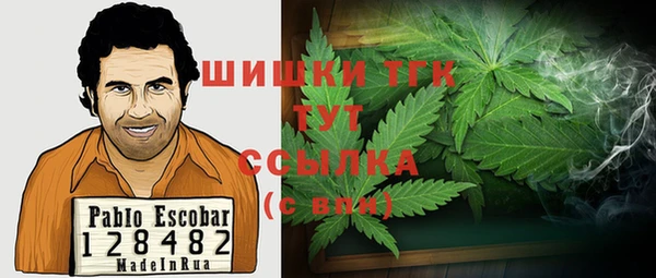 индика Богородск
