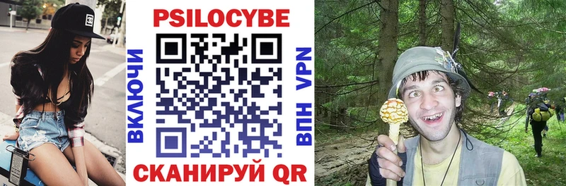 Псилоцибиновые грибы мицелий  купить наркотик  Нерюнгри 